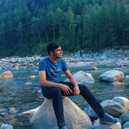 Pulkit profile picture
